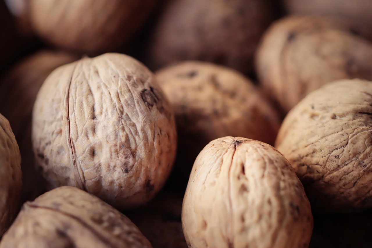 日税金鼎和平：世界杯开户平台