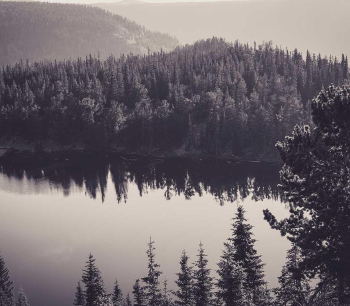 英亚安易通app ios详情下载教程