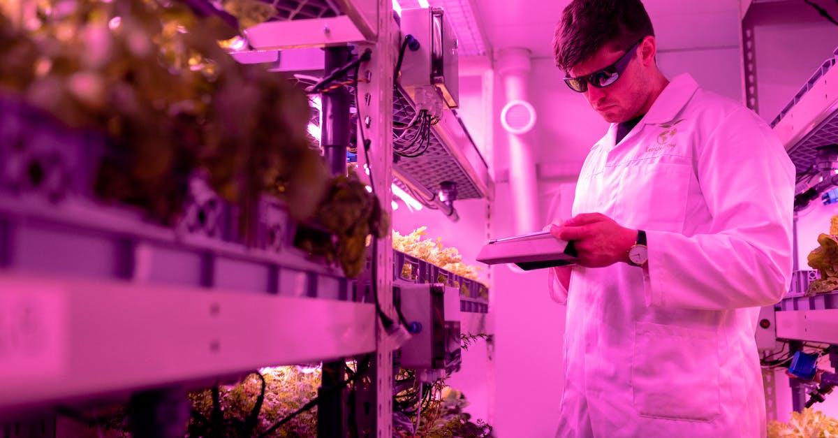 客户市场营销:创意的方式抵达客户