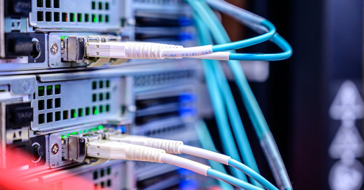 海鸥实名账号:The Best Traffic Cards for Online Gaming