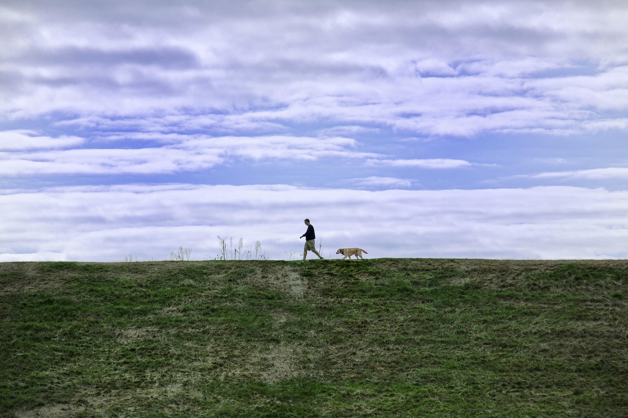 恒宏勉县有没有电商平台代理