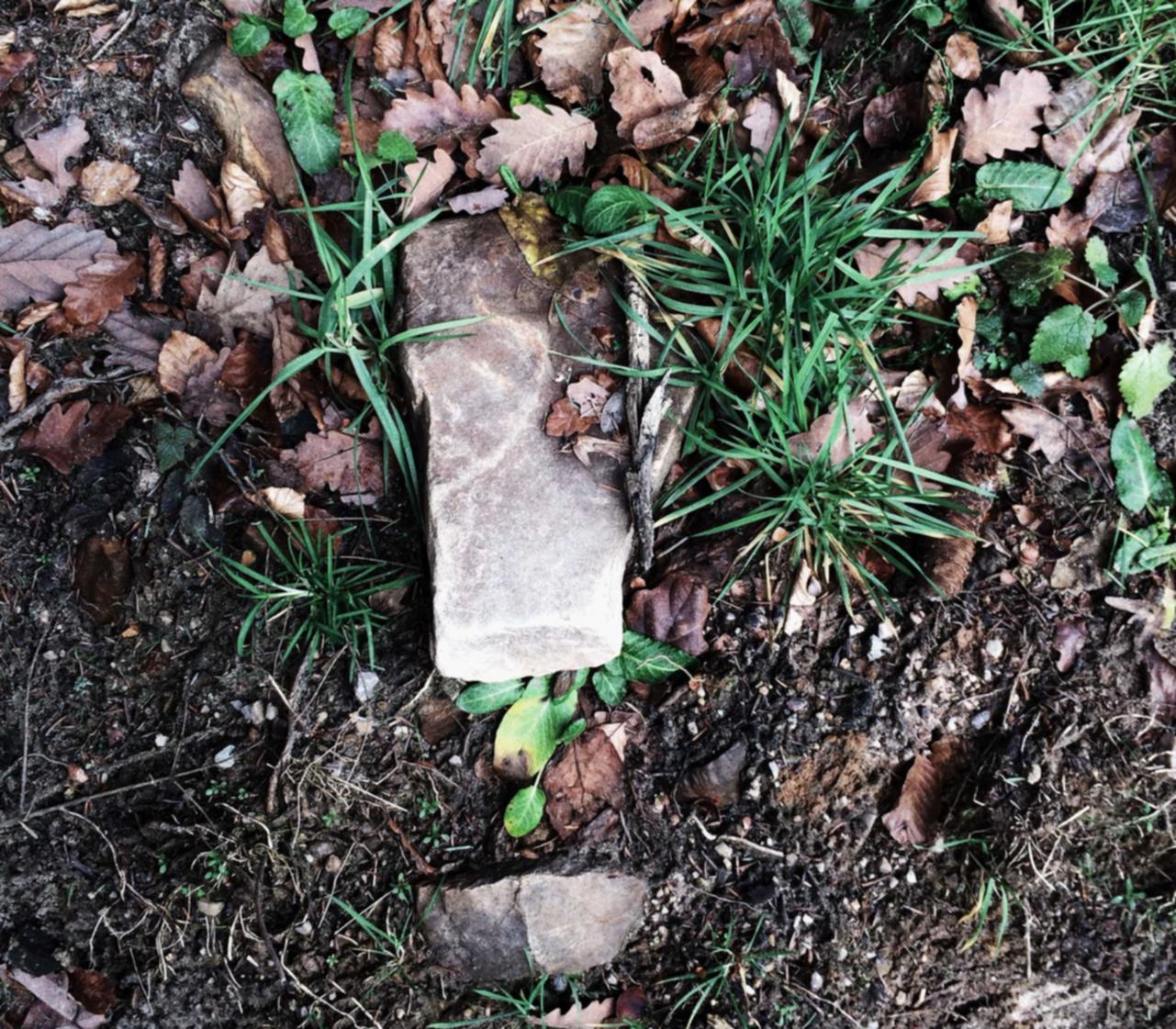 微信买号网站:实名制账号和信息产业发展的解决方案