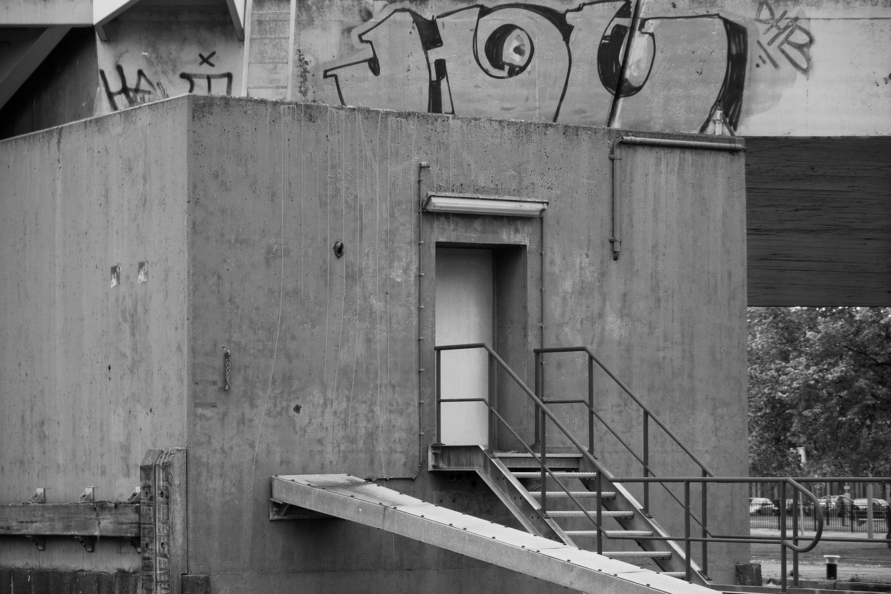 白号发卡网：11选5图表助手app详情下载教程