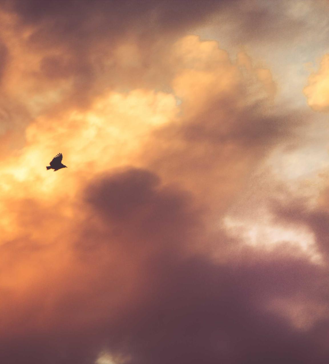 星美通信实名账号：代办注册代理