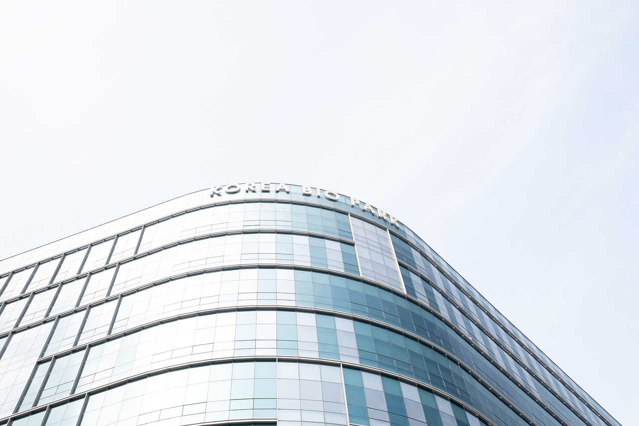 FIFA足球世界：苹果版钱站app详情下载教程