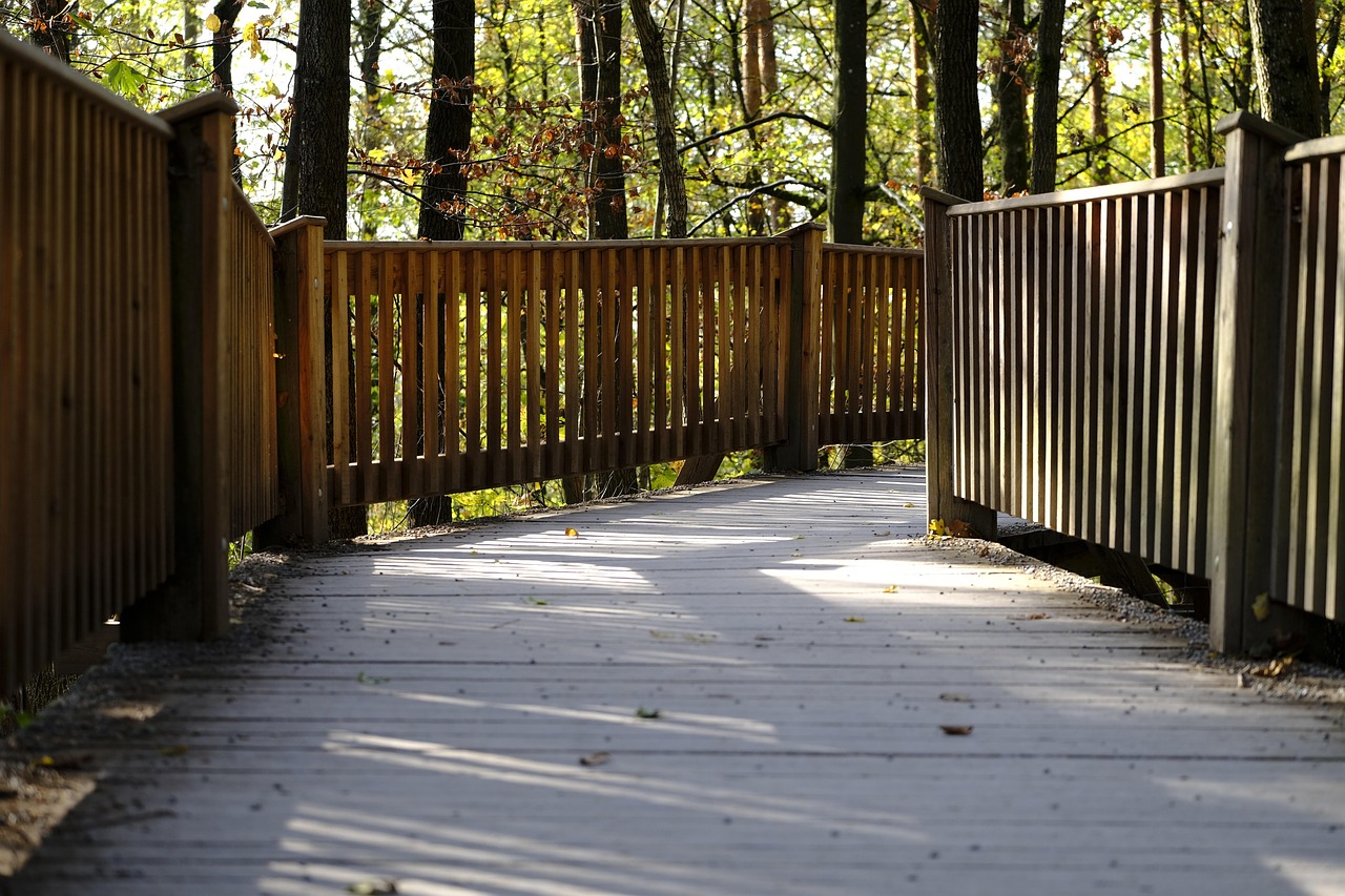 红梅花王：星连心app详情下载教程