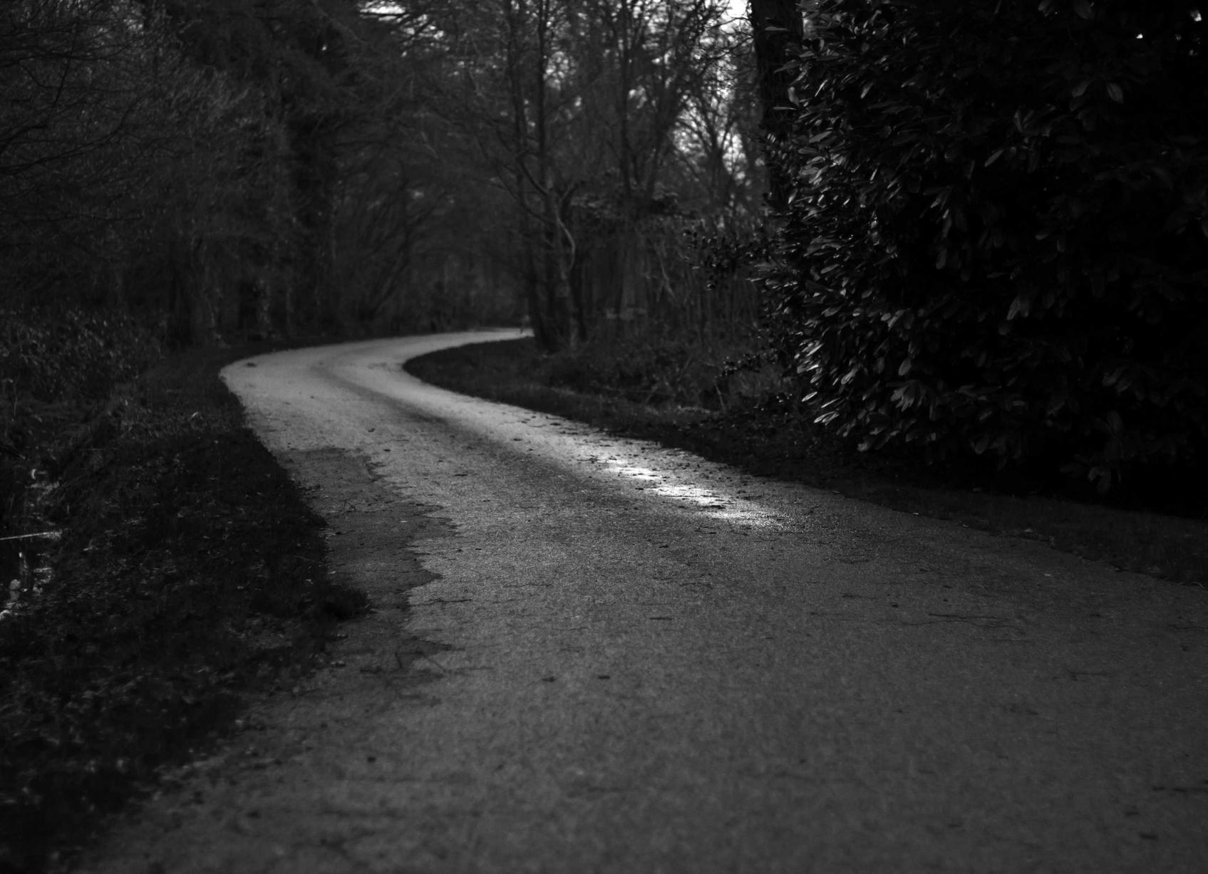 星美通信实名账号：流量卡的价格以及哪款流量卡最值得购买