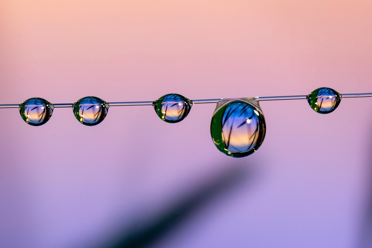 蜂巢互联实名账号:epic平台谁代理