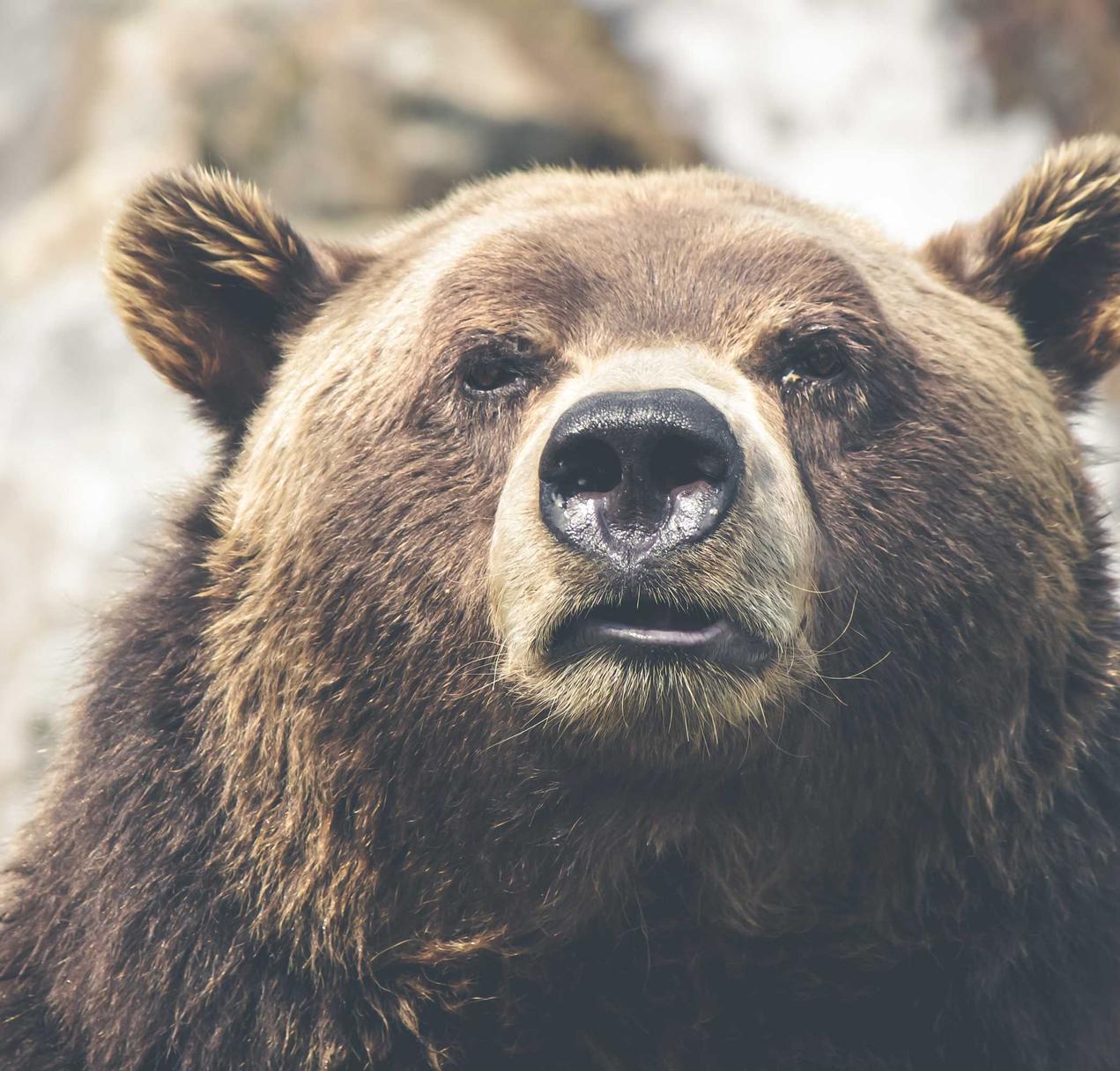 恩佐2制定博客营销战略，增强客户忠诚度