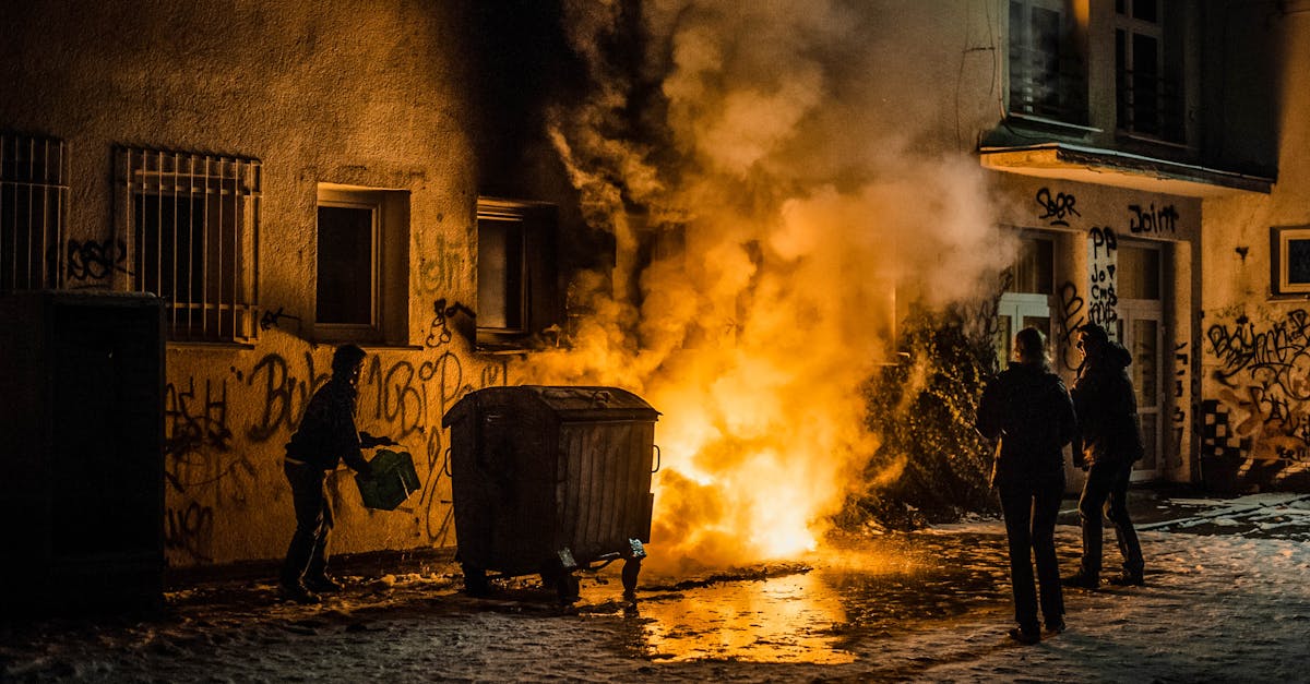 阿里山白大华：正规的优惠券代理平台美逛